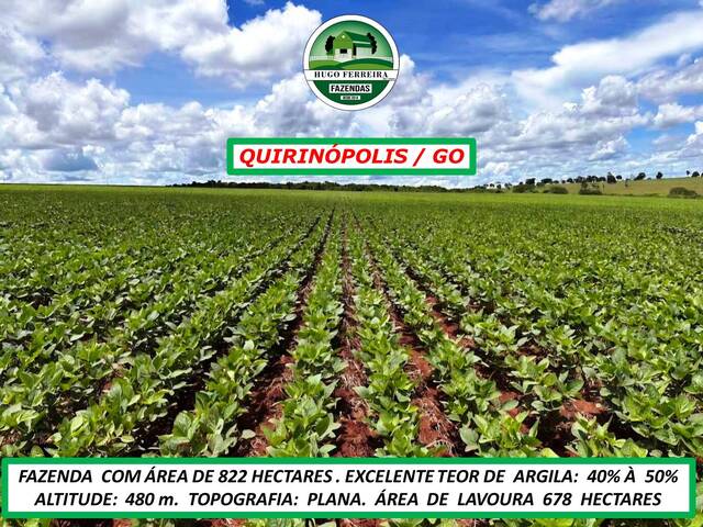 #5511 - Fazenda para Venda em Quirinópolis - GO - 3