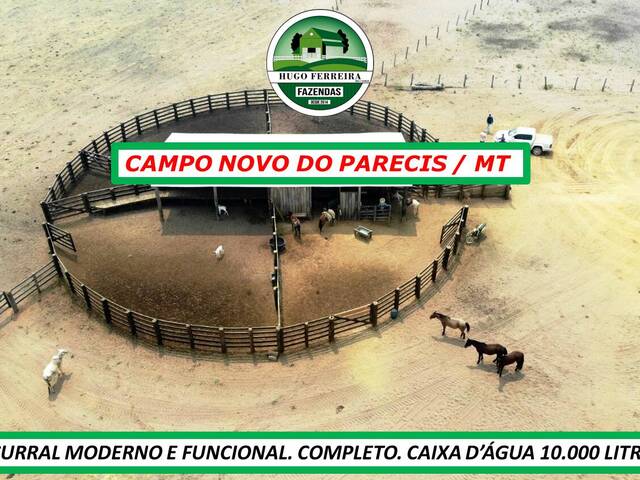  para  em  - 4