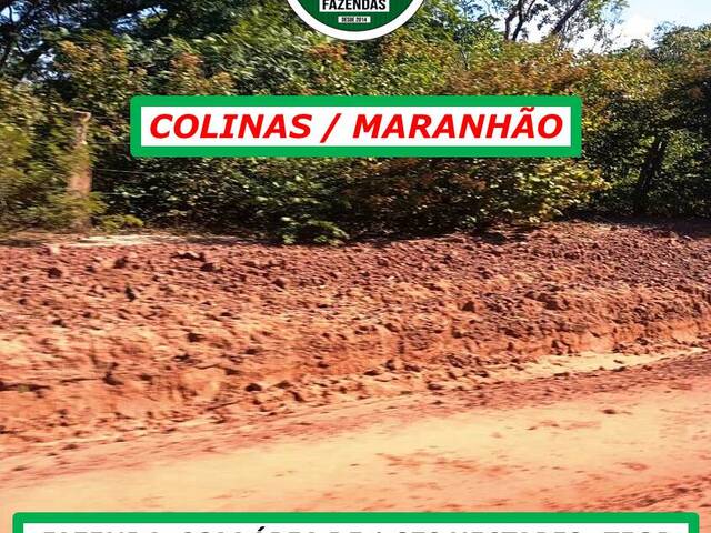 #5544 - Fazenda para Venda em Colinas - MA - 2