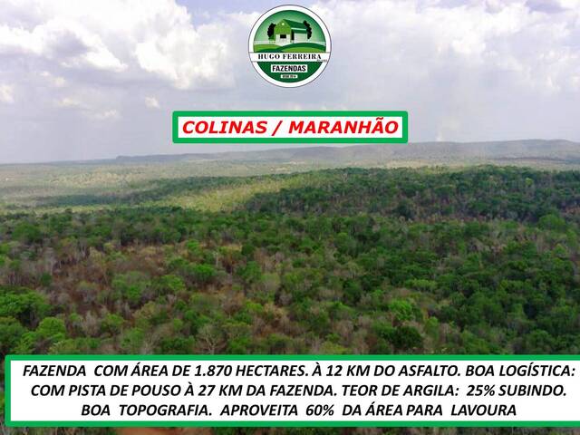 #5544 - Fazenda para Venda em Colinas - MA - 3