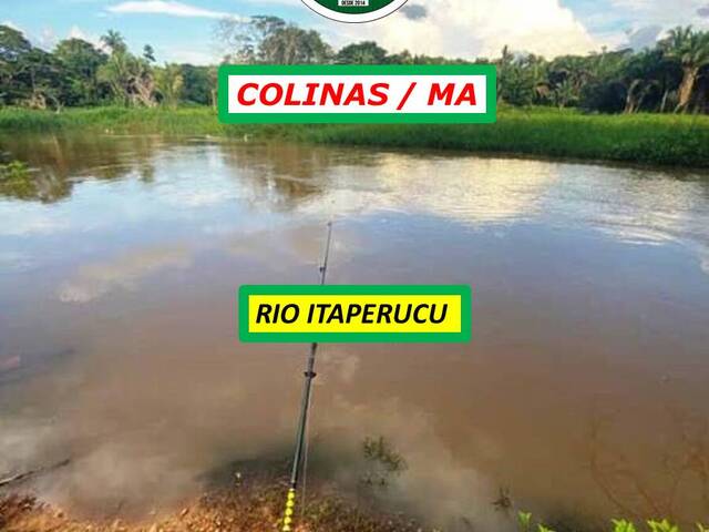#5544 - Fazenda para Venda em Colinas - MA - 1