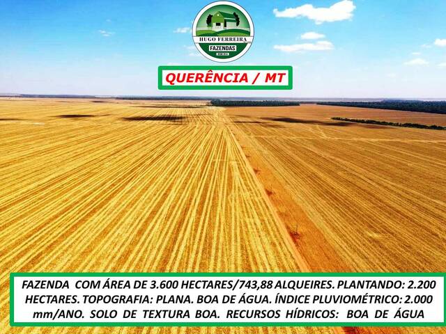 #5555 - Fazenda para Venda em Querência - MT - 2