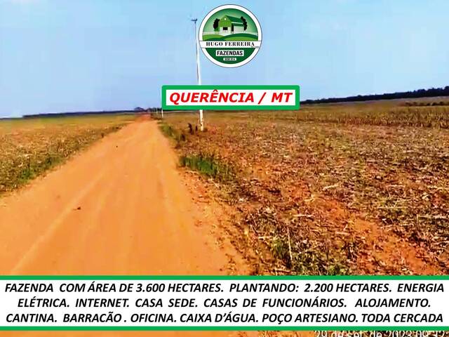 #5555 - Fazenda para Venda em Querência - MT - 3