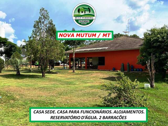 #5565 - Fazenda para Venda em Nova Mutum - MT - 2