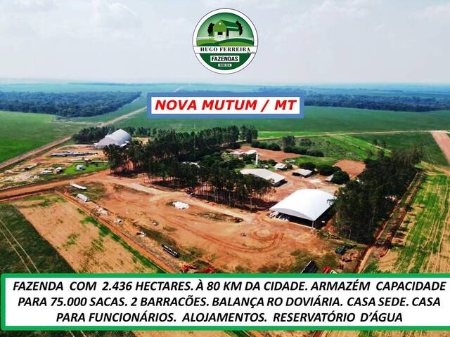 #5565 - Fazenda para Venda em Nova Mutum - MT - 3