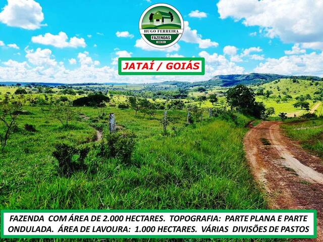 #5588 - Fazenda para Venda em Jataí - GO - 3