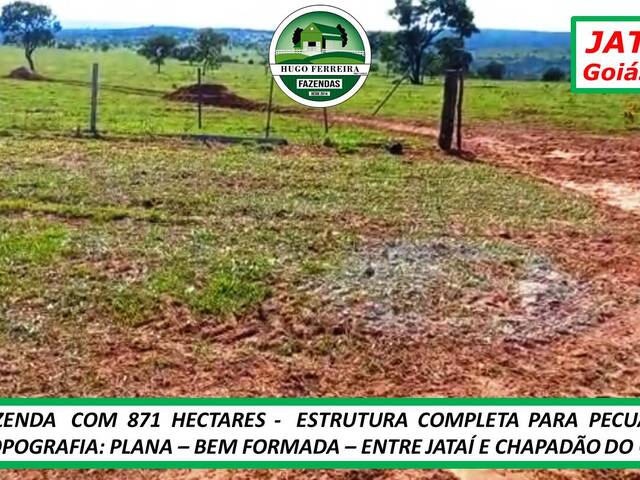 #5594 - Fazenda para Venda em Jataí - GO - 2