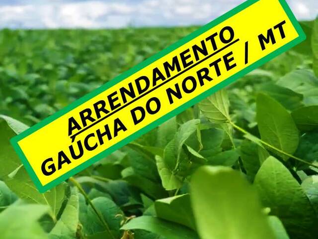 #5600 - Chácara para Arrendamento em Gaúcha do Norte - MT