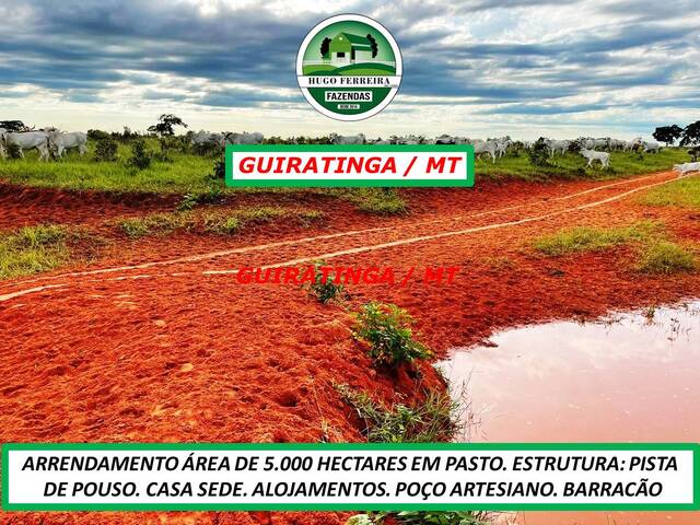 #5611 - Chácara para Arrendamento em Guiratinga - MT - 2