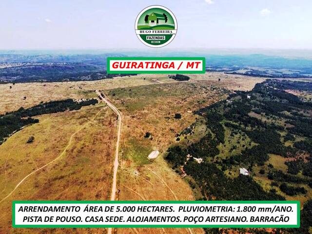 #5611 - Chácara para Arrendamento em Guiratinga - MT - 3