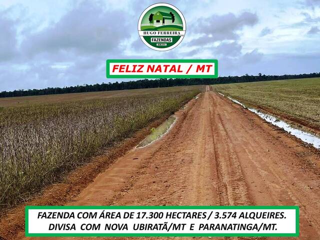 #5644 - Fazenda para Venda em Feliz Natal - MT - 1