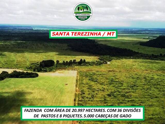 #5661 - Fazenda para Venda em Santa Terezinha - MT - 3