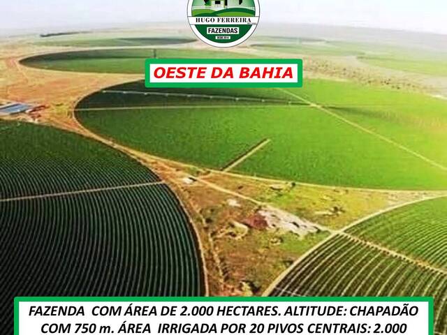 #5677 - Fazenda para Venda em Barreiras - BA - 3