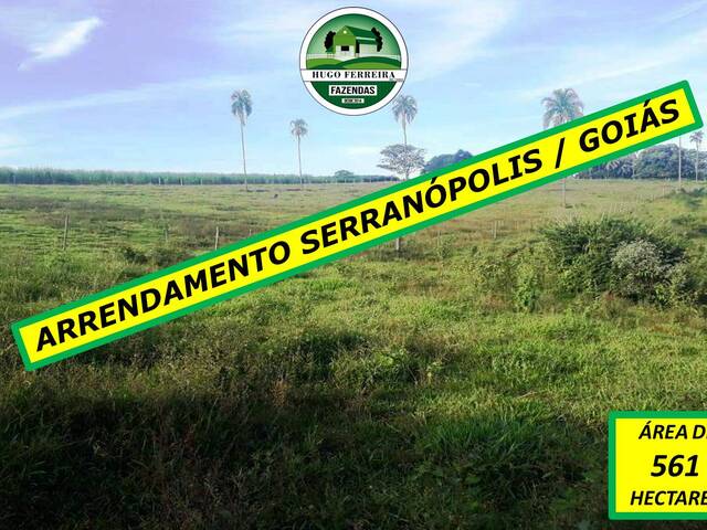 #5688 - Fazenda para Arrendamento em Serranópolis - GO
