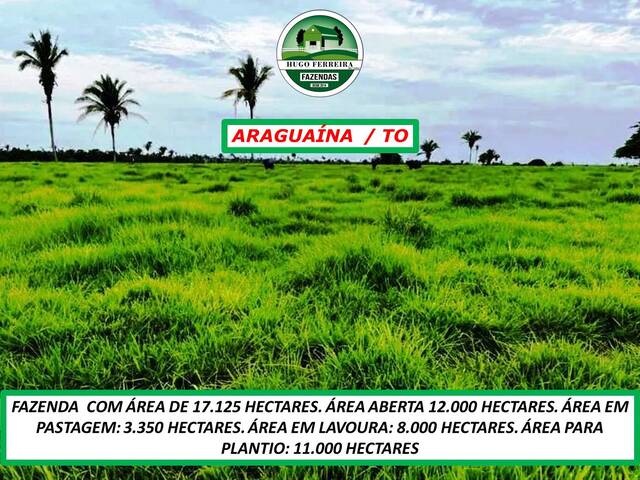 #5699 - Fazenda para Venda em Araguaína - TO - 2