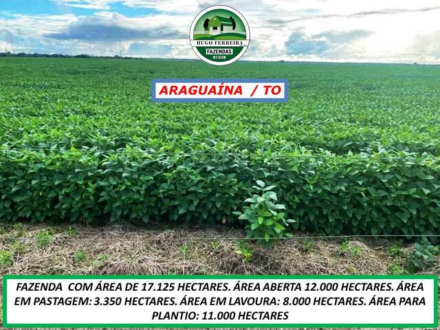 #5699 - Fazenda para Venda em Araguaína - TO - 3