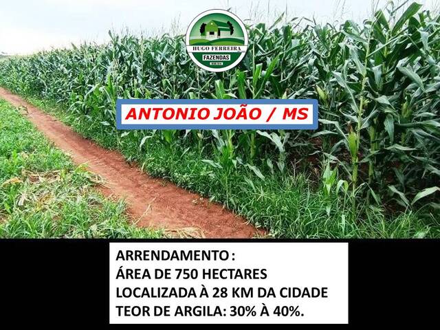 #5711 - Fazenda para Arrendamento em Antônio João - MS