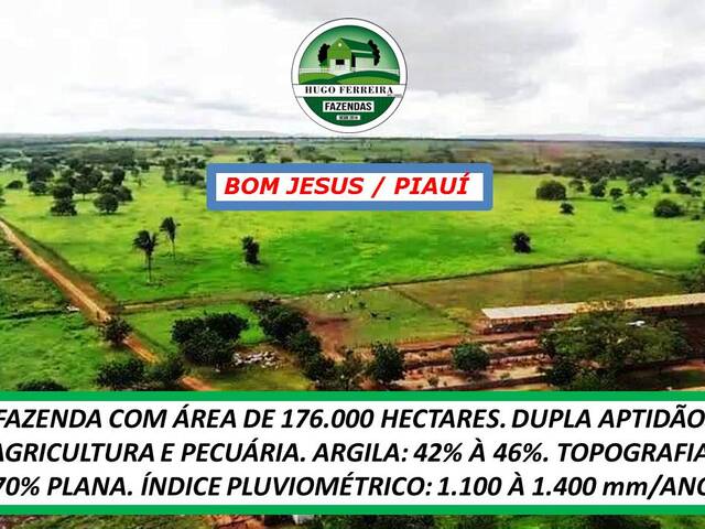 #5722 - Fazenda para Venda em Bom Jesus - PI - 3