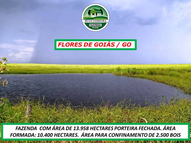#5733 - Fazenda para Venda em Flores de Goiás - GO - 2