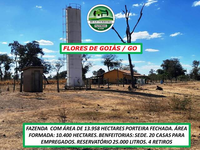 #5733 - Fazenda para Venda em Flores de Goiás - GO - 1