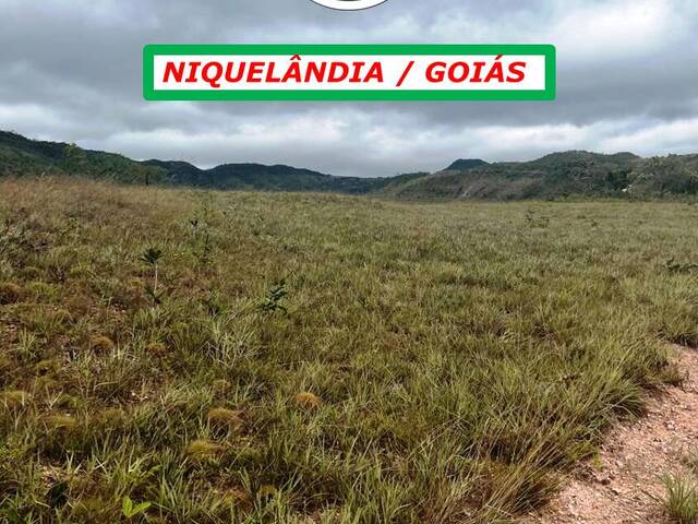 #5760 - Fazenda para Venda em Niquelândia - GO - 3