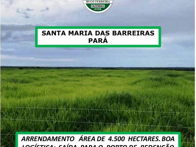 #5775 - Fazenda para Arrendamento em Santa Maria das Barreiras - PA - 2