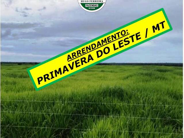 #5788 - Fazenda para Arrendamento em Primavera do Leste - MT - 1