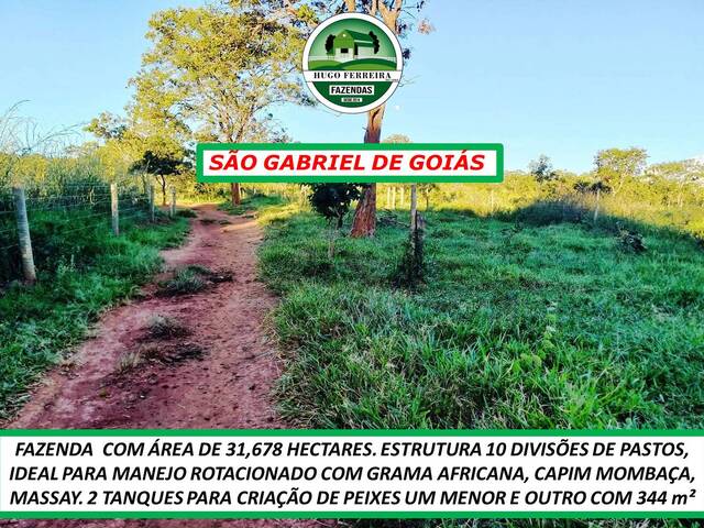 #5790 - Fazenda para Venda em Planaltina - GO - 2