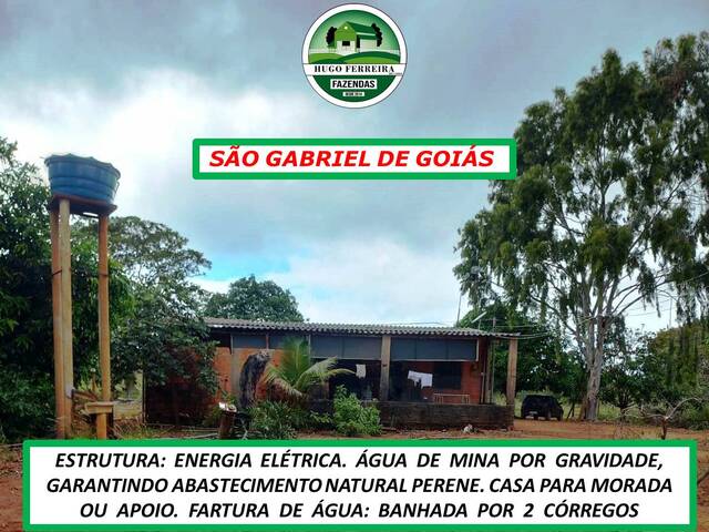 #5790 - Fazenda para Venda em Planaltina - GO - 3