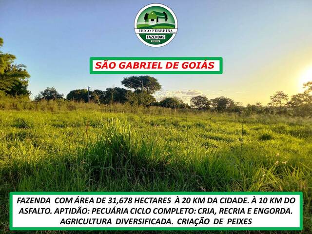 #5790 - Fazenda para Venda em Planaltina - GO - 1