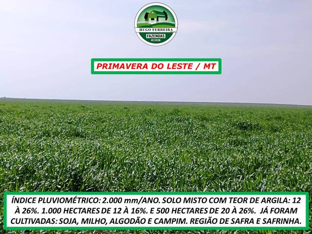 #5800 - Chácara para Venda em Primavera do Leste - MT - 2