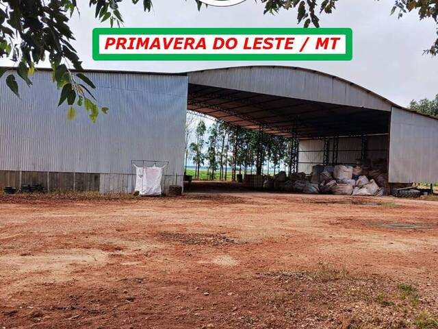  para  em  - 4