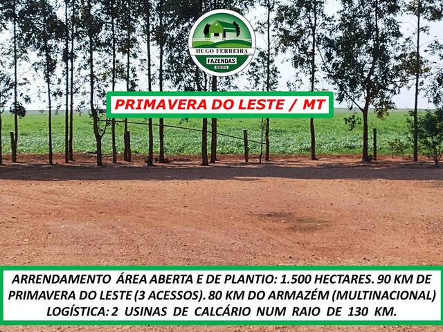  para  em  - 5
