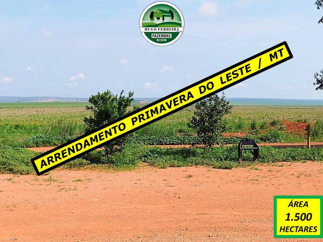 #5800 - Chácara para Venda em Primavera do Leste - MT - 1