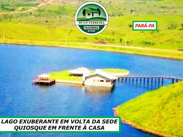 #5820 - Fazenda para Venda em São Félix do Xingu - PA - 1