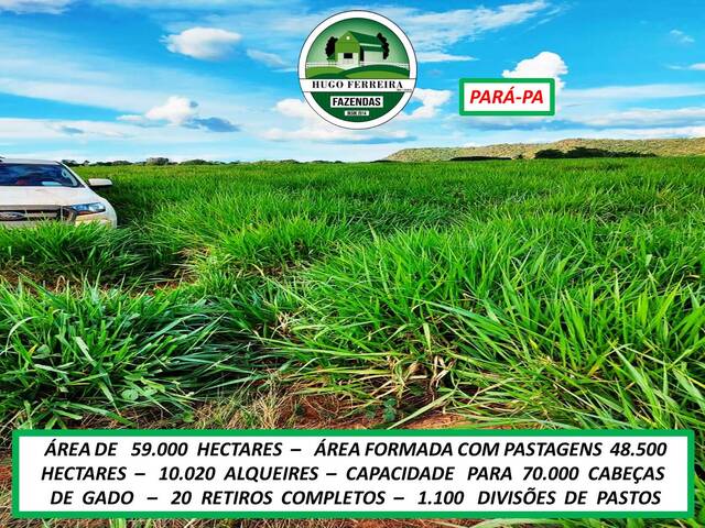 #5820 - Fazenda para Venda em São Félix do Xingu - PA - 3