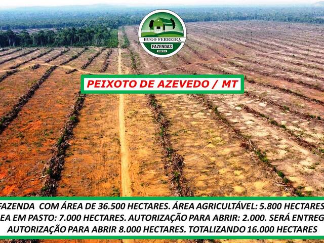 #5840 - Fazenda para Venda em Peixoto de Azevedo - MT - 3