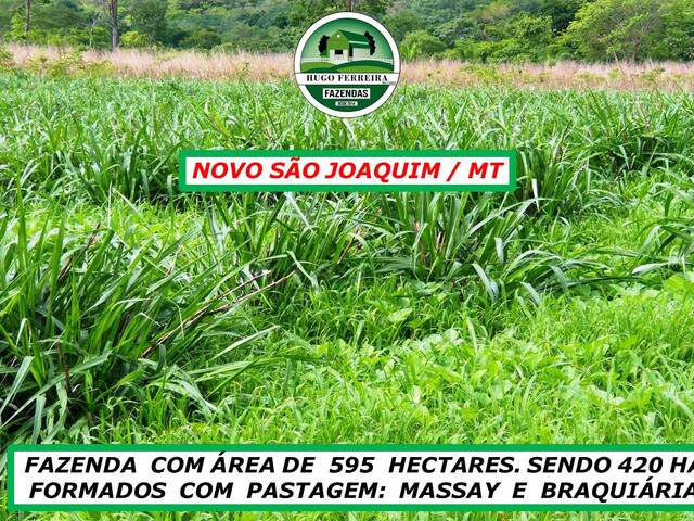 #5855 - Fazenda para Venda em Novo São Joaquim - MT - 1