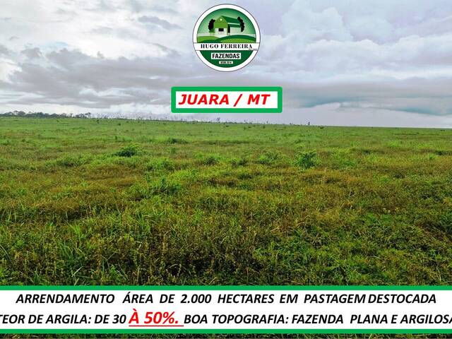 #5877 - Fazenda para Arrendamento em Juara - MT - 2