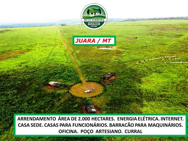 #5877 - Fazenda para Arrendamento em Juara - MT - 3