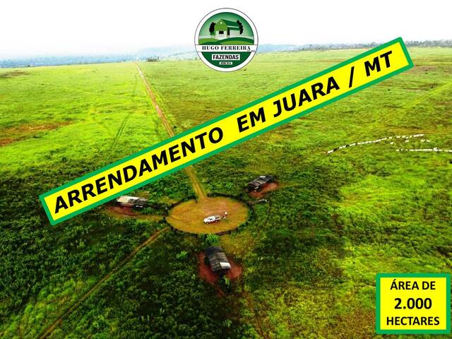 #5877 - Fazenda para Arrendamento em Juara - MT - 1