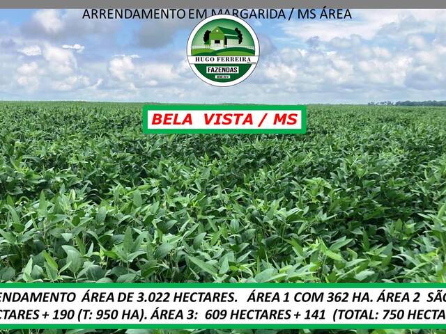 #5900 - Chácara para Arrendamento em Bela Vista - MS - 2