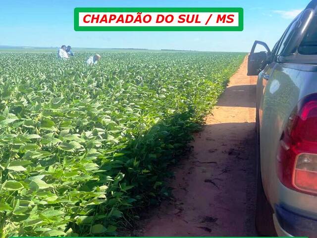 #5911 - Fazenda para Arrendamento em Chapadão do Sul - MS - 2