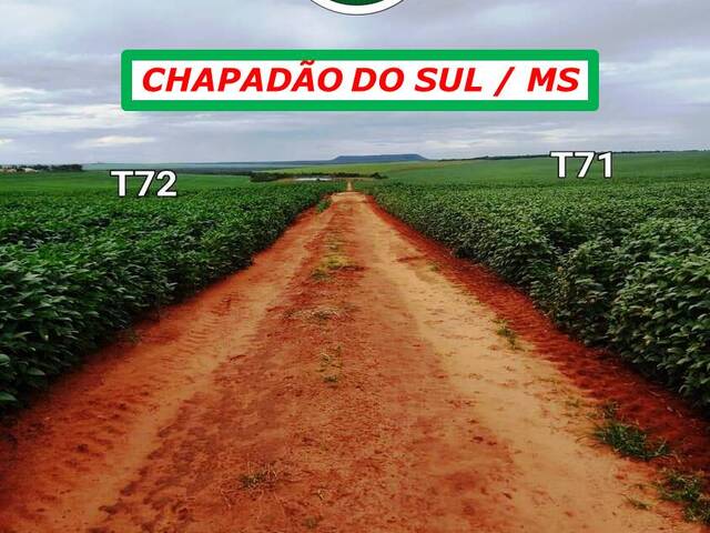 #5911 - Fazenda para Arrendamento em Chapadão do Sul - MS - 3