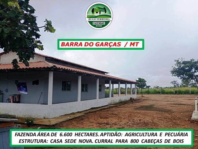 #5933 - Fazenda para Venda em Barra do Garças - MT - 2