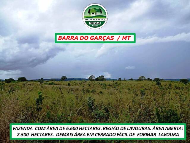 #5933 - Fazenda para Venda em Barra do Garças - MT - 3