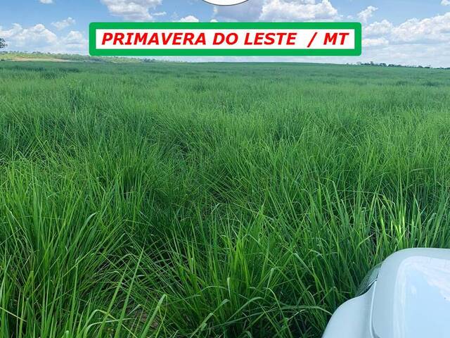 #5959 - Fazenda para Venda em Primavera do Leste - MT - 2