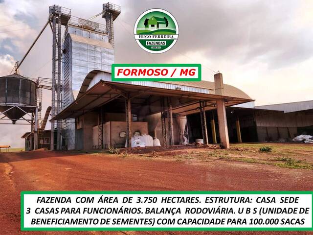 #5966 - Fazenda para Venda em Formoso - MG - 1