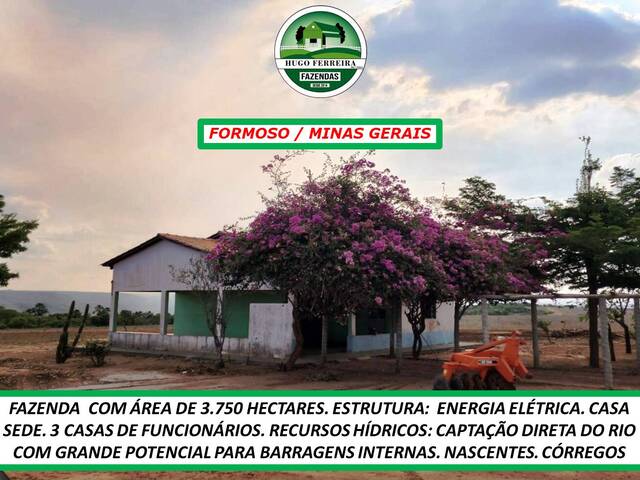 #5966 - Fazenda para Venda em Formoso - MG - 3