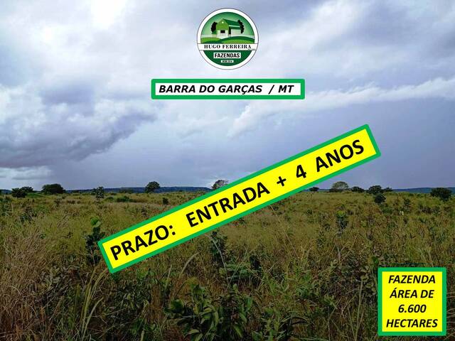#5977 - Fazenda para Venda em Barra do Garças - MT - 1